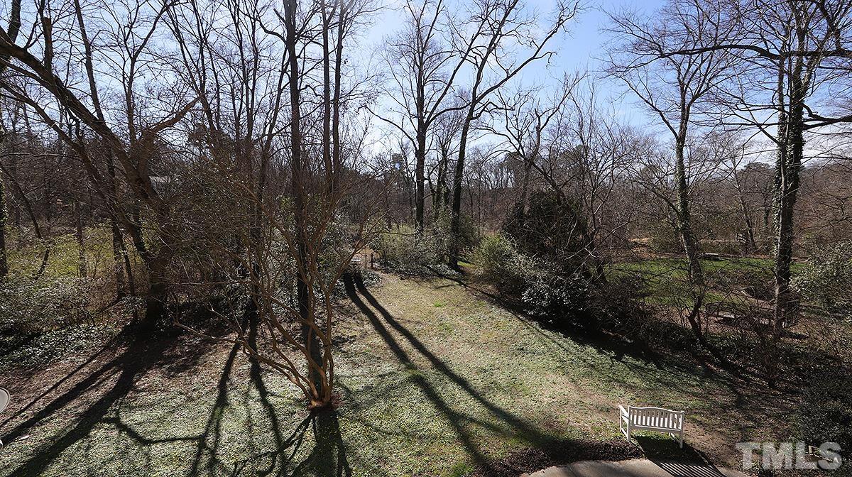 321 Marlowe Road Raleigh, NC 27609 - Photo 19 of 21 a view of a forest with trees