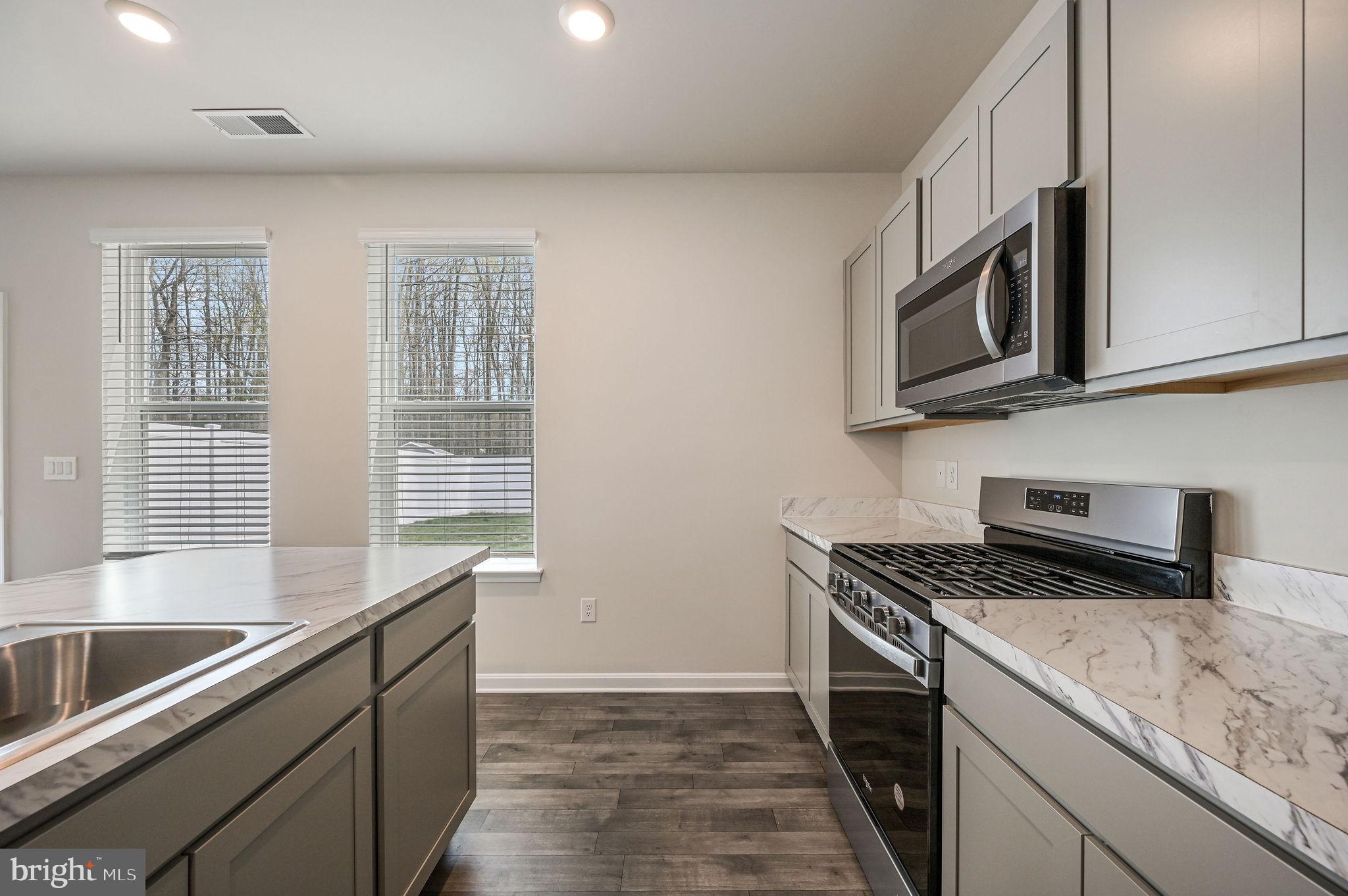 338 Currant Circle Magnolia, DE 19962 - Photo 15 of 27 Nice gas stove