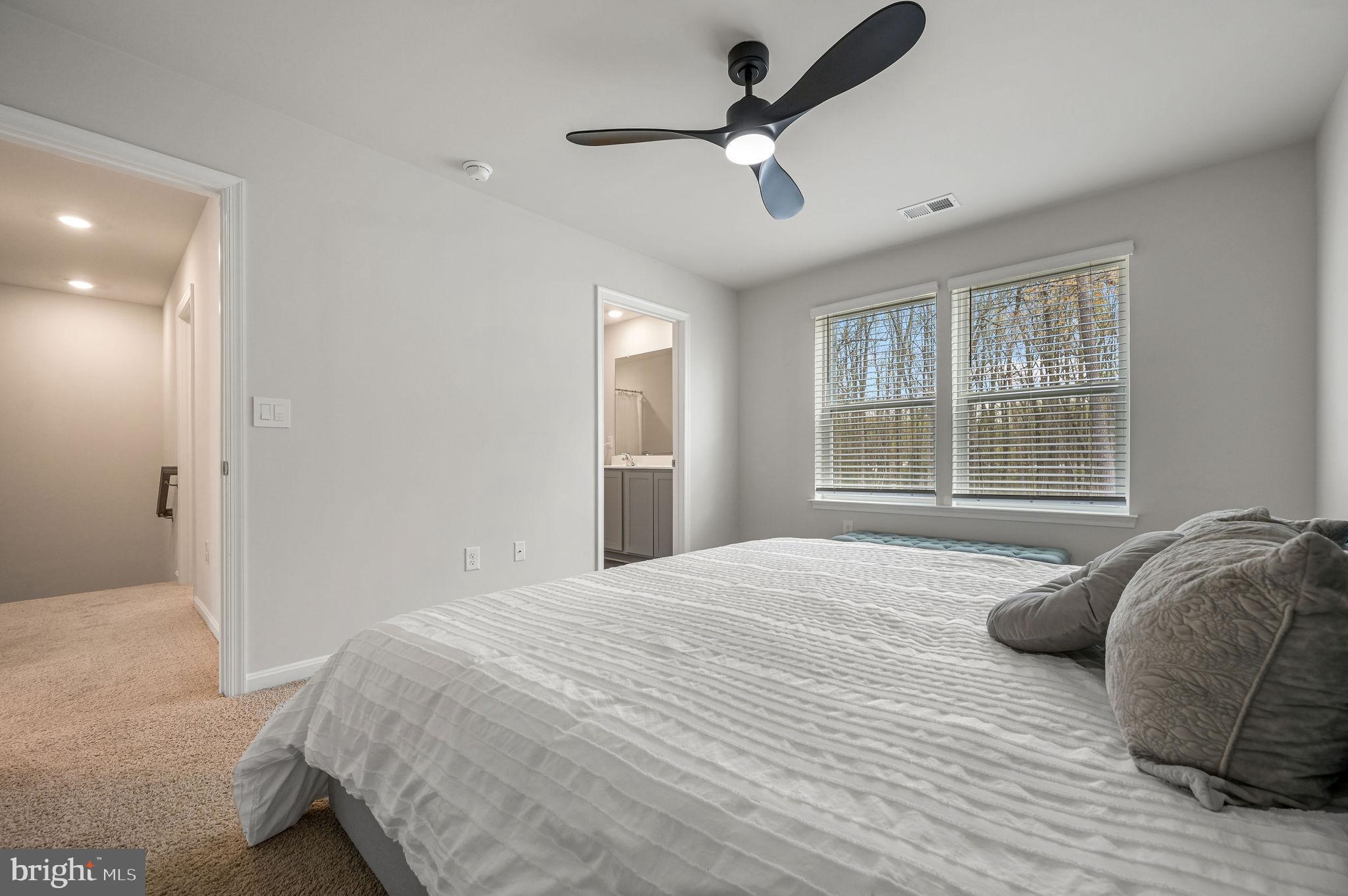 338 Currant Circle Magnolia, DE 19962 - Photo 19 of 27 Dimmable fan with 3 choices of light