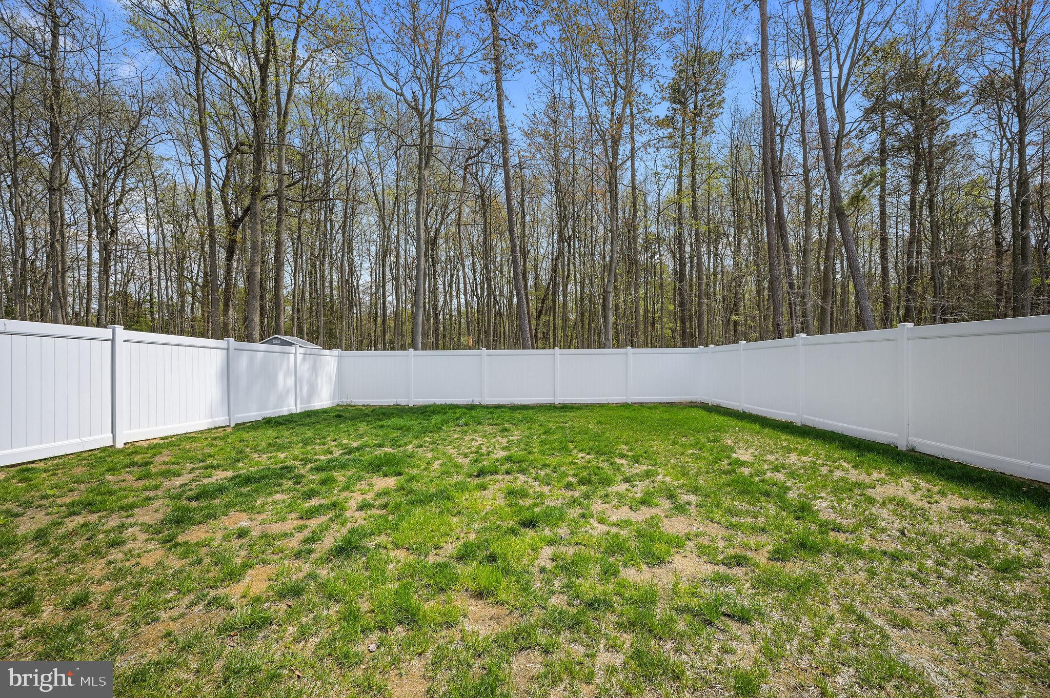 338 Currant Circle Magnolia, DE 19962 - Photo 3 of 27 Fully fenced back yard with vinyl privacy fence