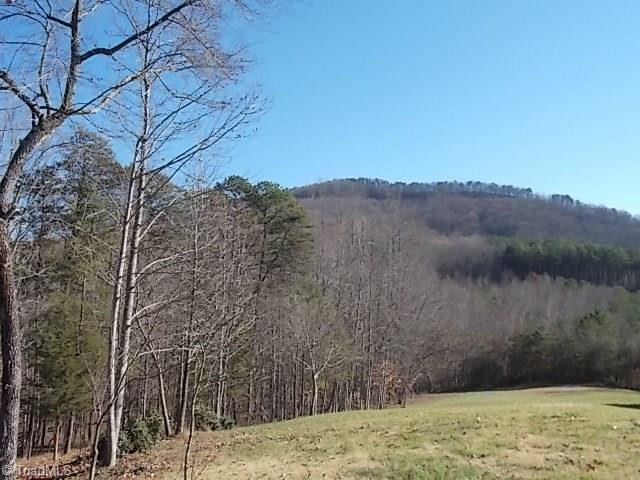 1090 Poplar Ridge Lane Pinnacle, NC 27043 - Photo 29 of 30 Gallery Image 29