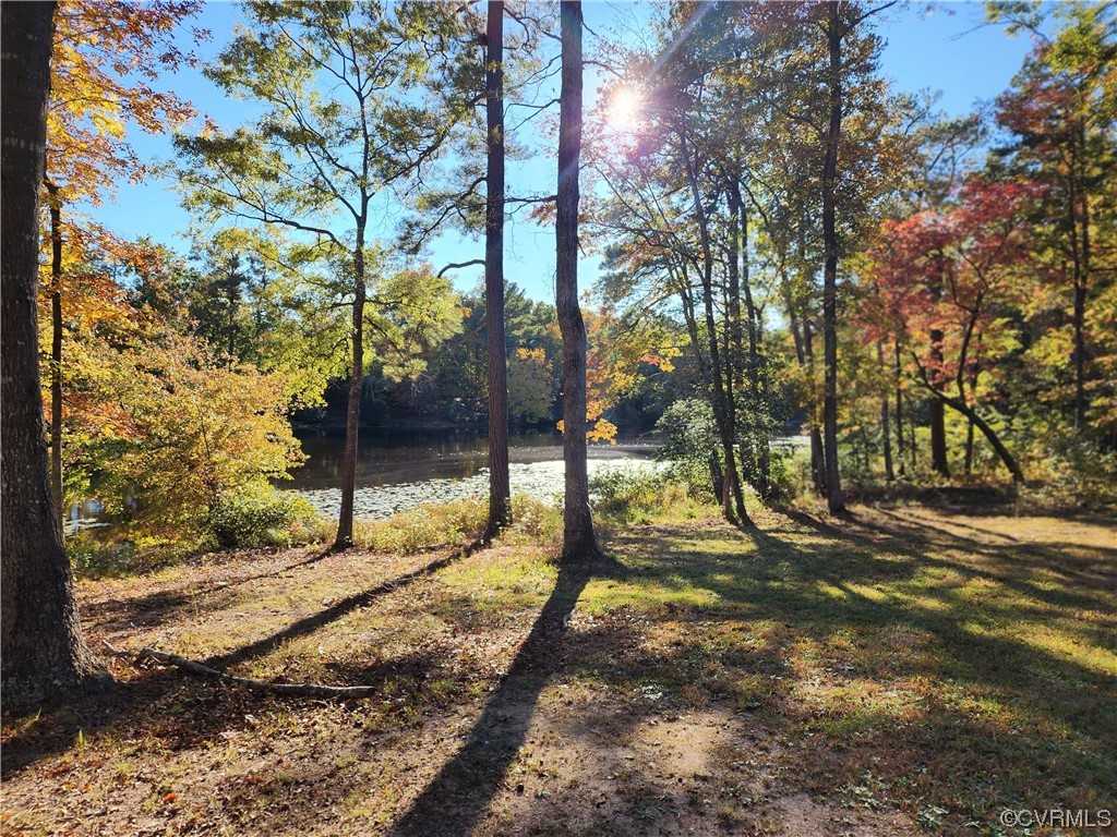 10148 Duncan Road Petersburg, VA 23803 - Photo 12 of 46 Gallery Image 12