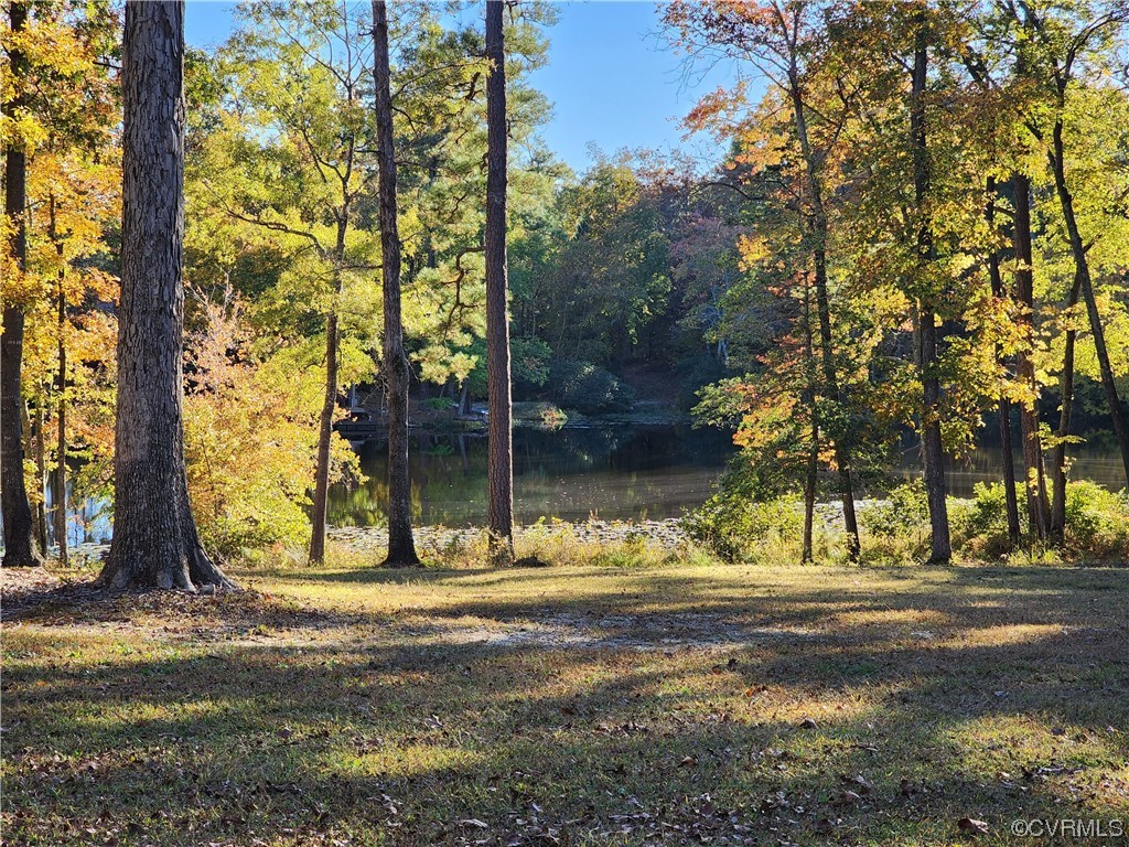 10148 Duncan Road Petersburg, VA 23803 - Photo 37 of 46 Gallery Image 37