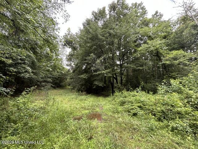 301 Freeman Road Southwest Summit, MS 39666 - Photo 17 of 43 IMG_4599