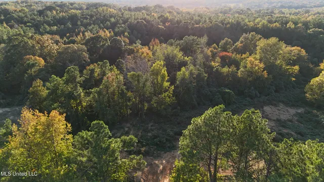 $68,000 | 6 Tyro Branch Cove, Senatobia, MS 38668