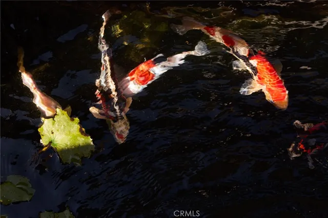 a large kitchen with a table and chairs