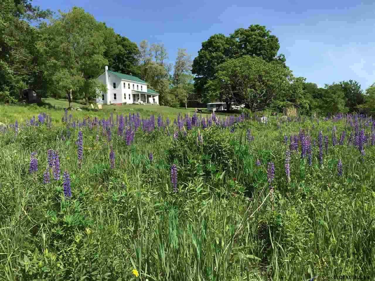 198 Dugas Road Blenheim, NY 12175 - Photo 1 of 40 Photo 1