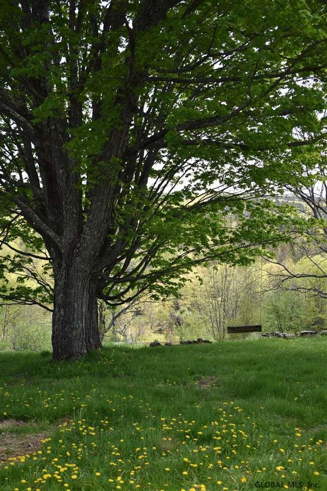 198 Dugas Road Blenheim, NY 12175 - Photo 26 of 40 Photo 26
