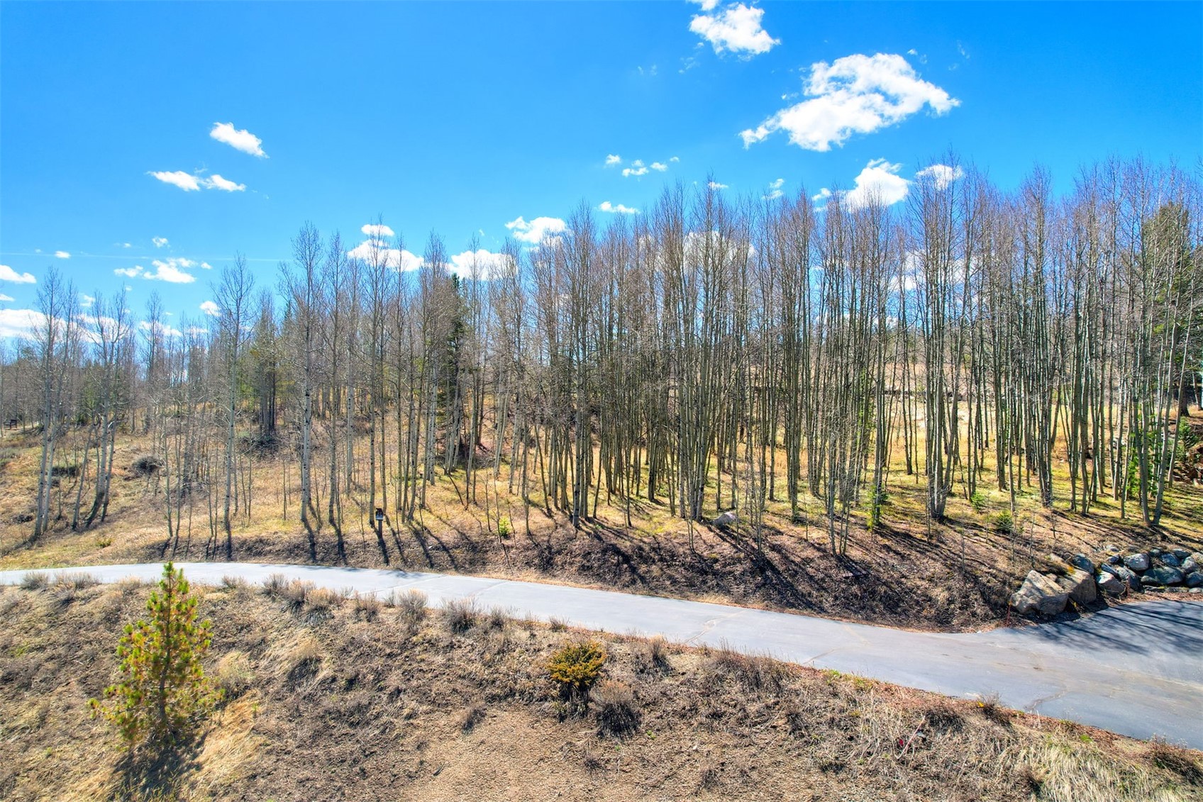 2180 Currant Way Silverthorne, CO 80498 - Photo 16 of 32 a view of a pathway with a yard
