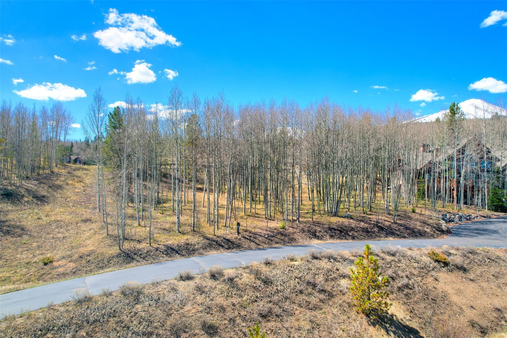 2180 Currant Way Silverthorne, CO 80498 - Photo 17 of 32 a view of a yard with a tree