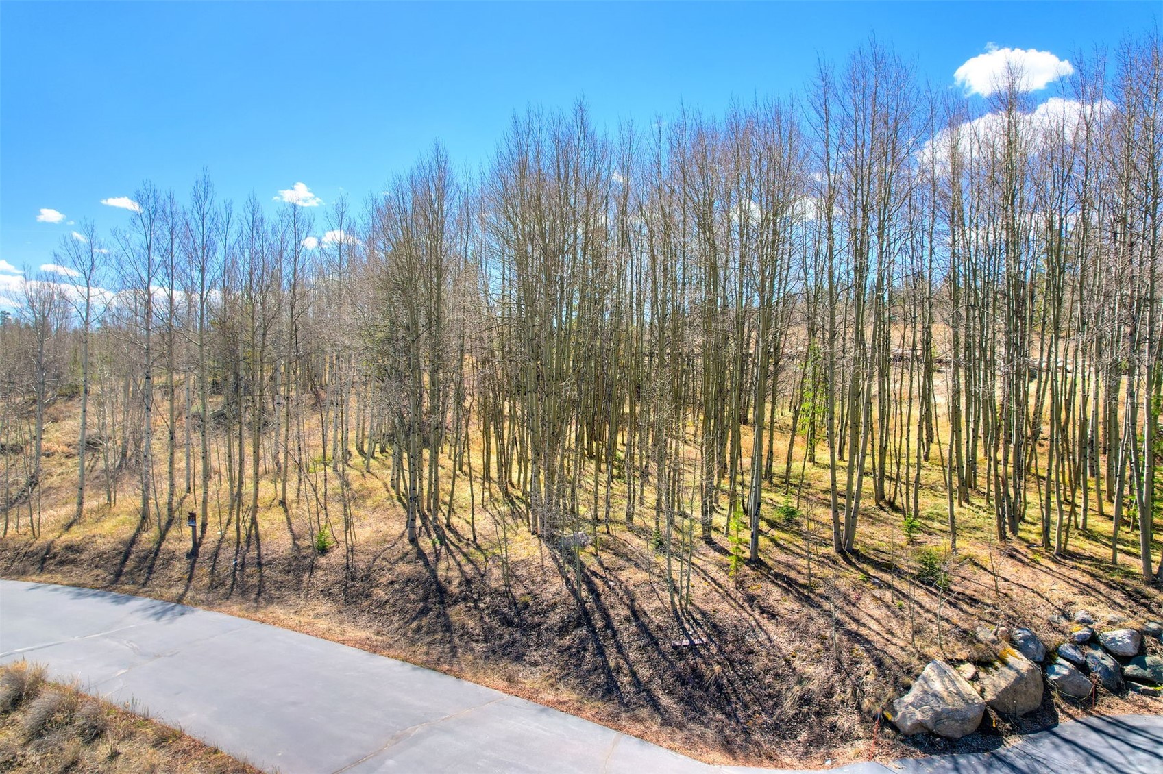 2180 Currant Way Silverthorne, CO 80498 - Photo 18 of 32 a view of a pathway with a backyard of a house