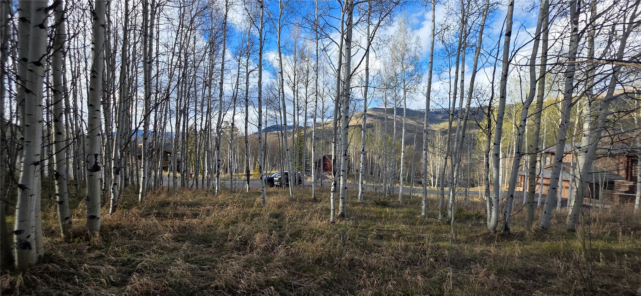 2180 Currant Way Silverthorne, CO 80498 - Photo 20 of 32