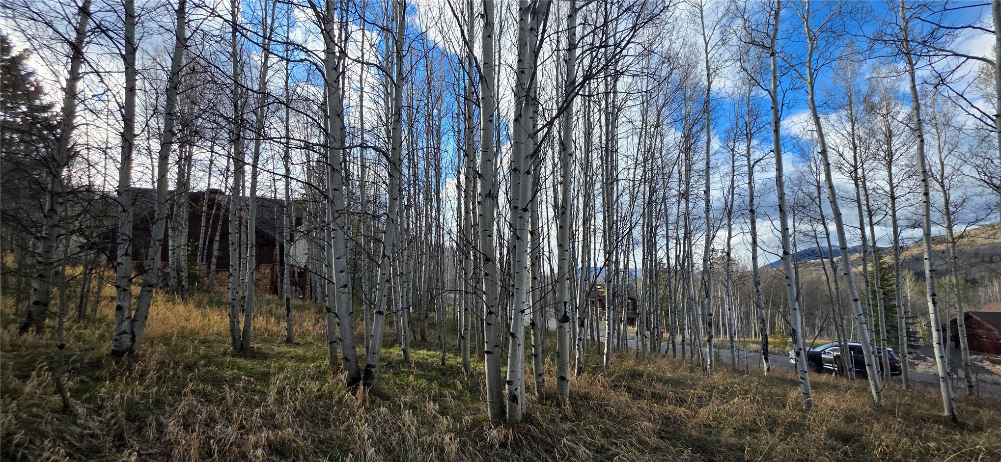2180 Currant Way Silverthorne, CO 80498 - Photo 21 of 32 a view of outdoor space and yard
