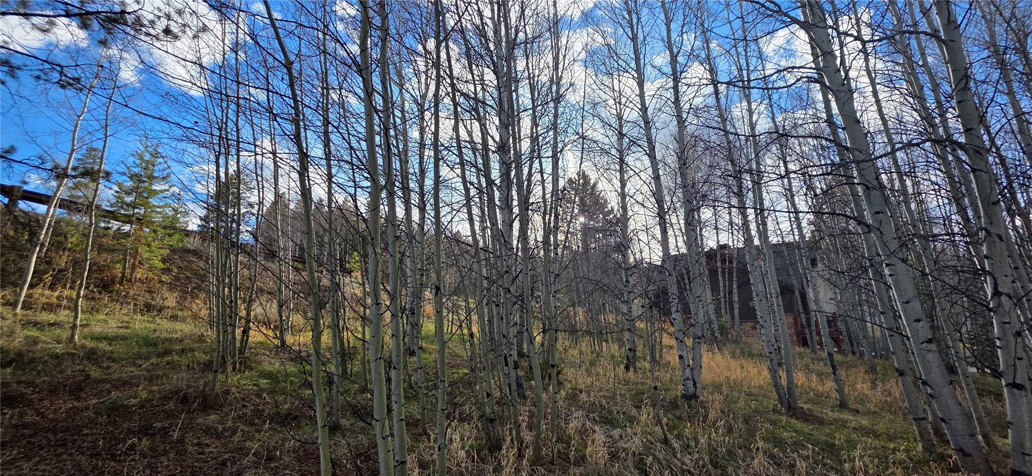2180 Currant Way Silverthorne, CO 80498 - Photo 22 of 32