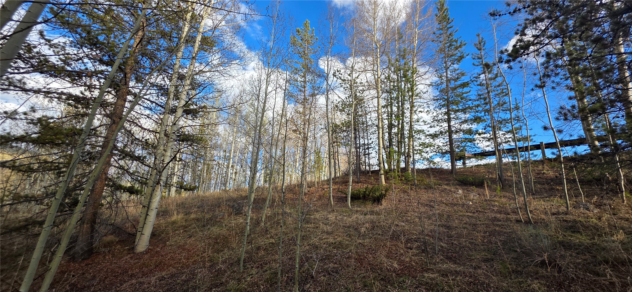 2180 Currant Way Silverthorne, CO 80498 - Photo 23 of 32 a view of water with trees