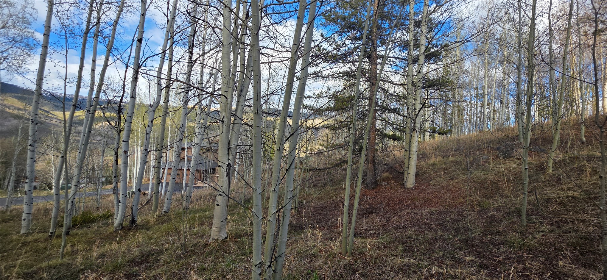 2180 Currant Way Silverthorne, CO 80498 - Photo 24 of 32 a backyard of a house with lots of green space