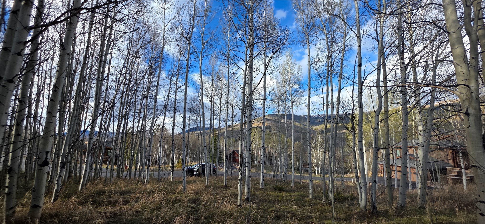 2180 Currant Way Silverthorne, CO 80498 - Photo 3 of 32 a view of a garden with tall trees