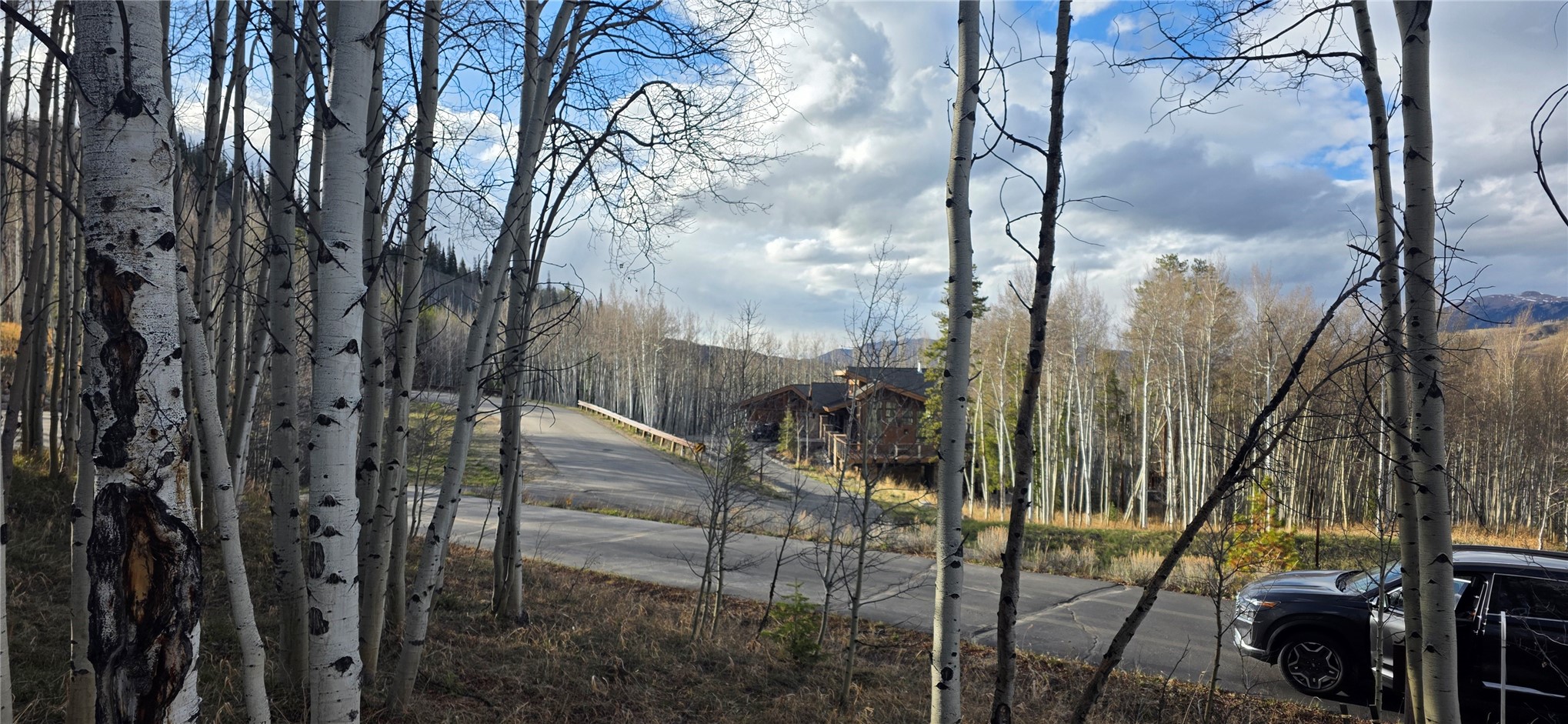 2180 Currant Way Silverthorne, CO 80498 - Photo 6 of 32 a view of a forest
