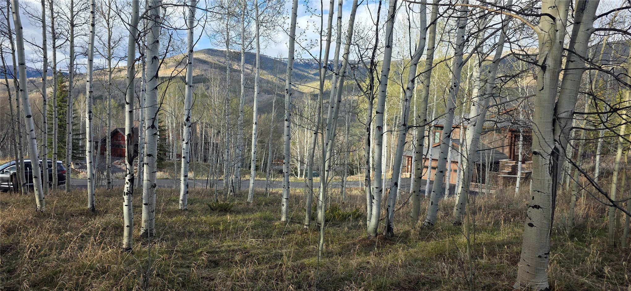 2180 Currant Way Silverthorne, CO 80498 - Photo 8 of 32 a view of outdoor space with garden
