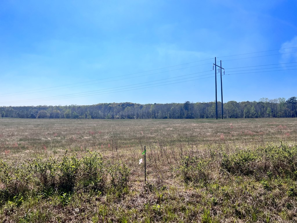 0 Co Road Headland, AL 36345 - Photo 3 of 6