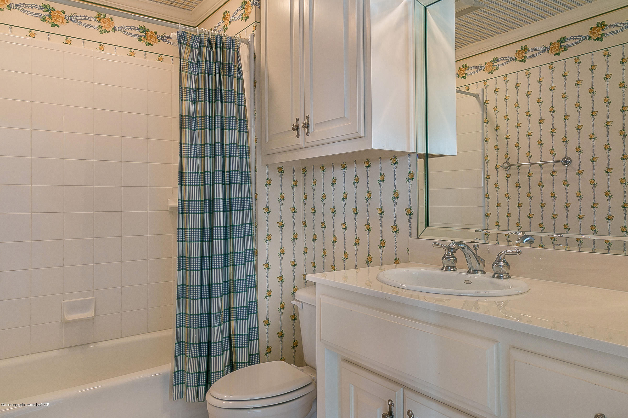9101 Red Wing Road Amarillo, TX 79119 - Photo 69 of 70 a bathroom with a sink toilet and shower