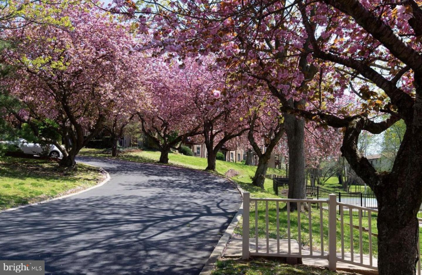 280 Bridgewater Road, Unit F17 Brookhaven, PA 19015 - Photo 16 of 22