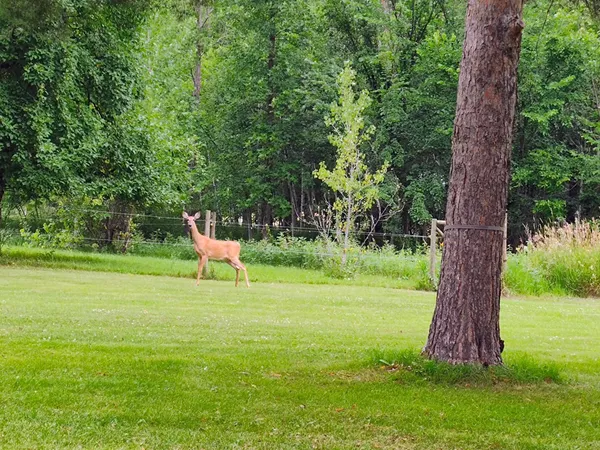 $197,900 | 704 Martha Avenue North, Thief River Falls, MN 56701