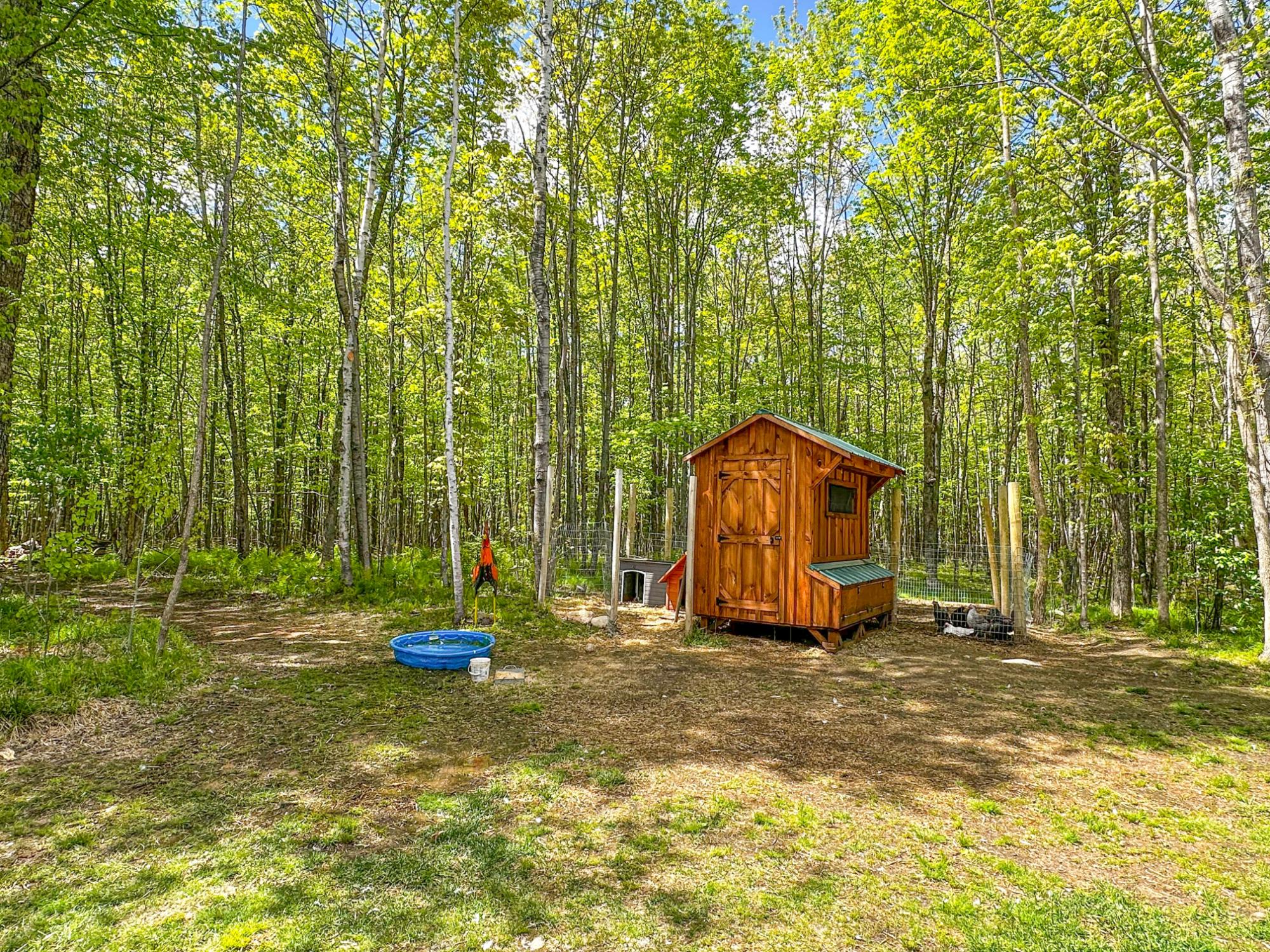 N7573 East Dover Road Phillips, WI 54555 - Photo 95 of 99 Gallery Image 95