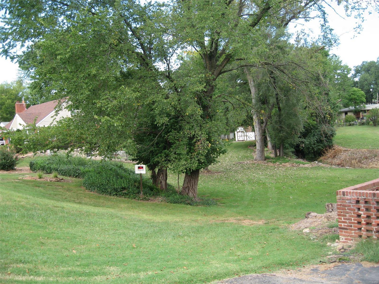 10225 East Watson Road St. Louis, MO 63127 - Photo 2 of 6