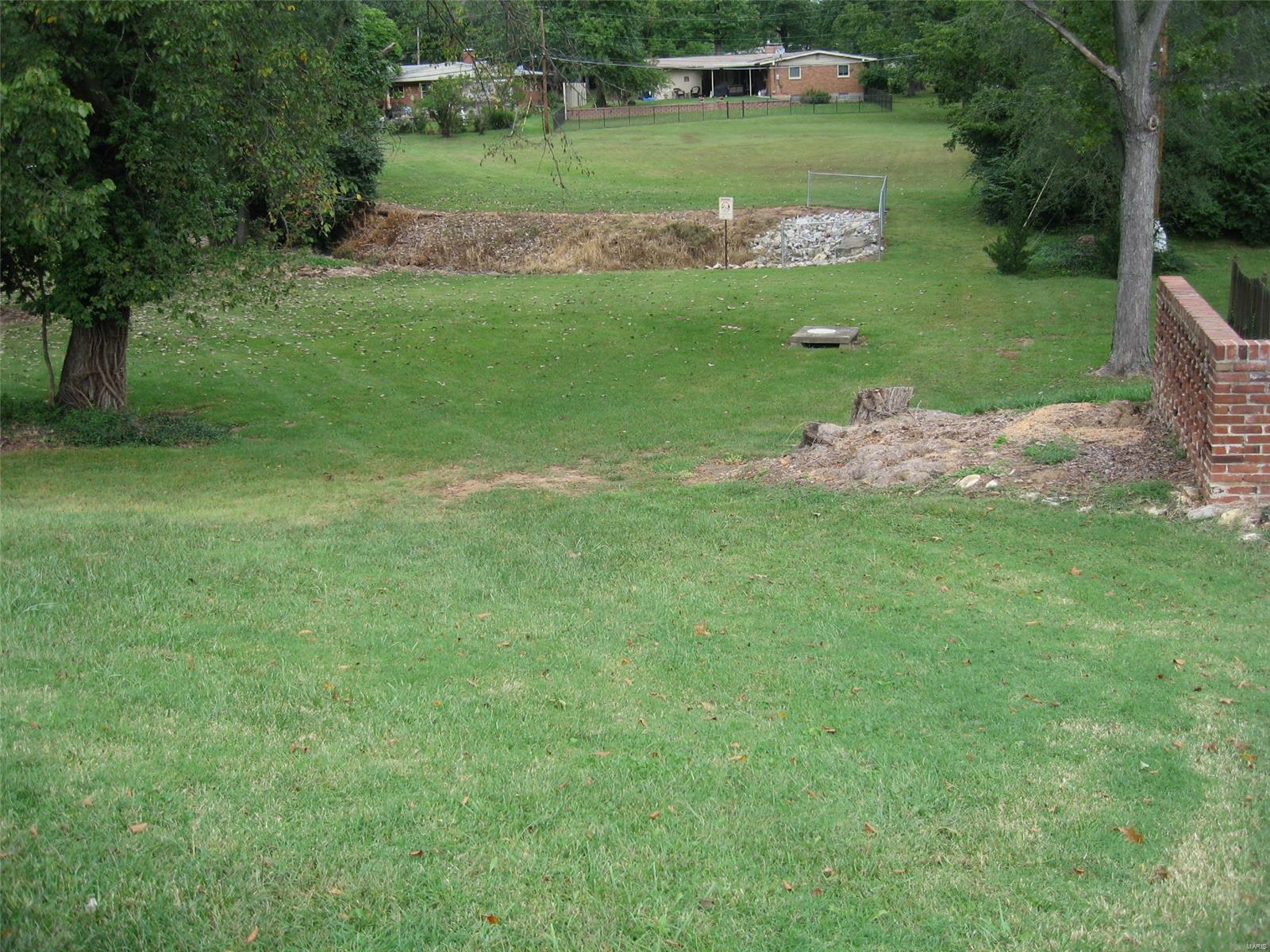 10225 East Watson Road St. Louis, MO 63127 - Photo 3 of 6