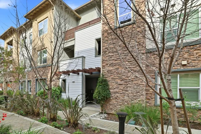 a backyard of a house with potted plants and large tree