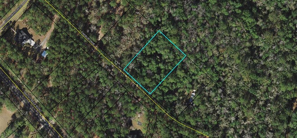 Trebor Lane Sopchoppy, FL 32358 - Photo 3 of 3