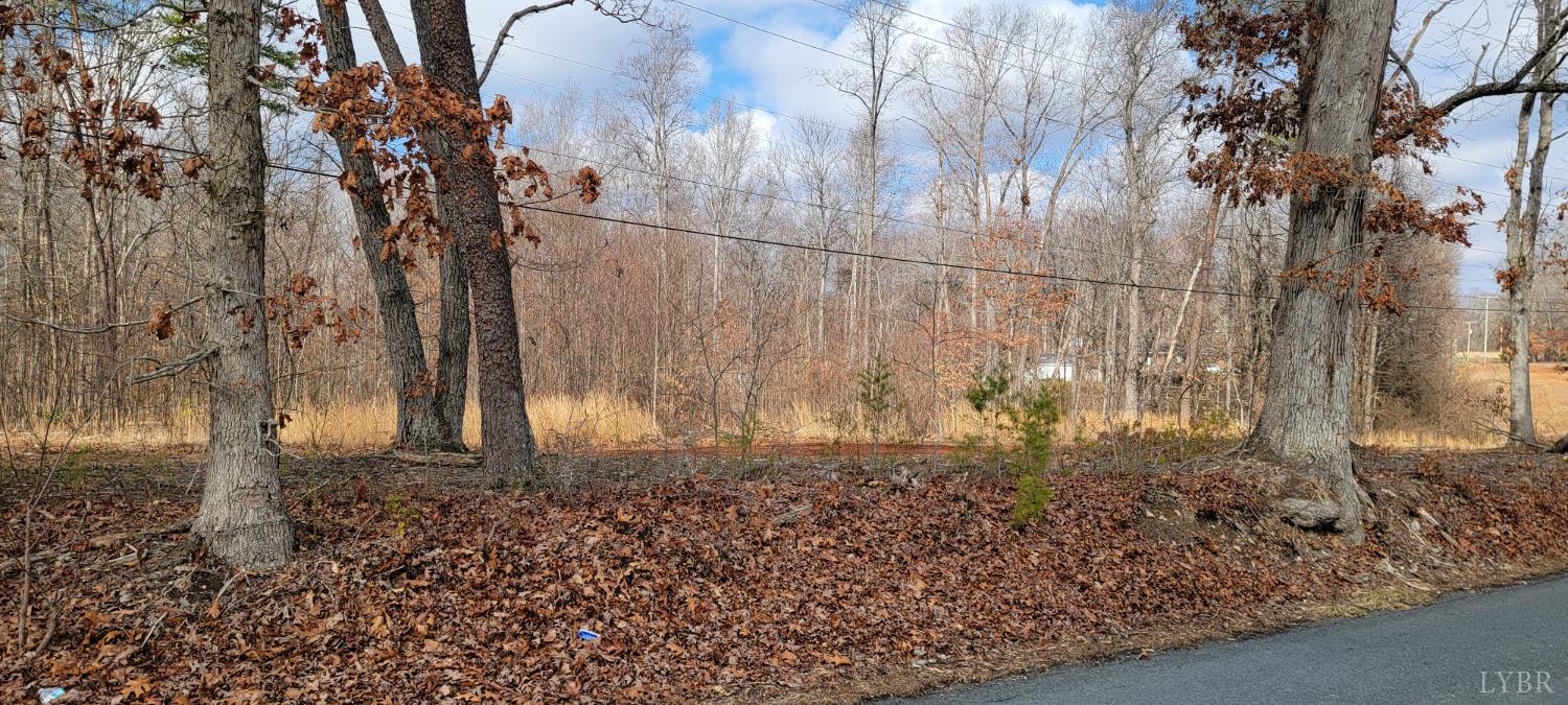 0 Riverview Road Madison Heights, VA 24572 - Photo 4 of 6 Gallery Image 4