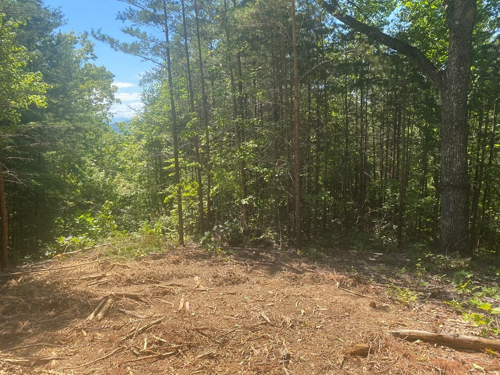 1882 Obes Branch Road Sevierville, TN 37876 - Photo 10 of 11