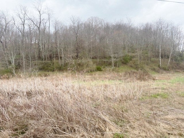 Tbd Rural Retreat Lake Road, Unit 11 13 Rural Retreat, VA 24368 - Photo 3 of 3 Gallery Image 3