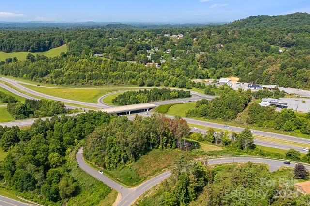 a view of a yard with plants