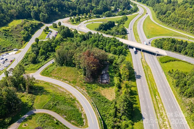 a view of a yard with plants