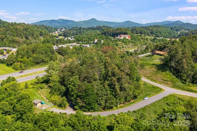 a view of a yard with plants