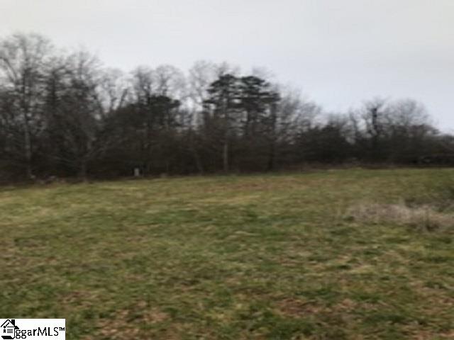 180 Bennetts Bridge Road Greer, SC 29651 - Photo 3 of 5 Gallery Image 3