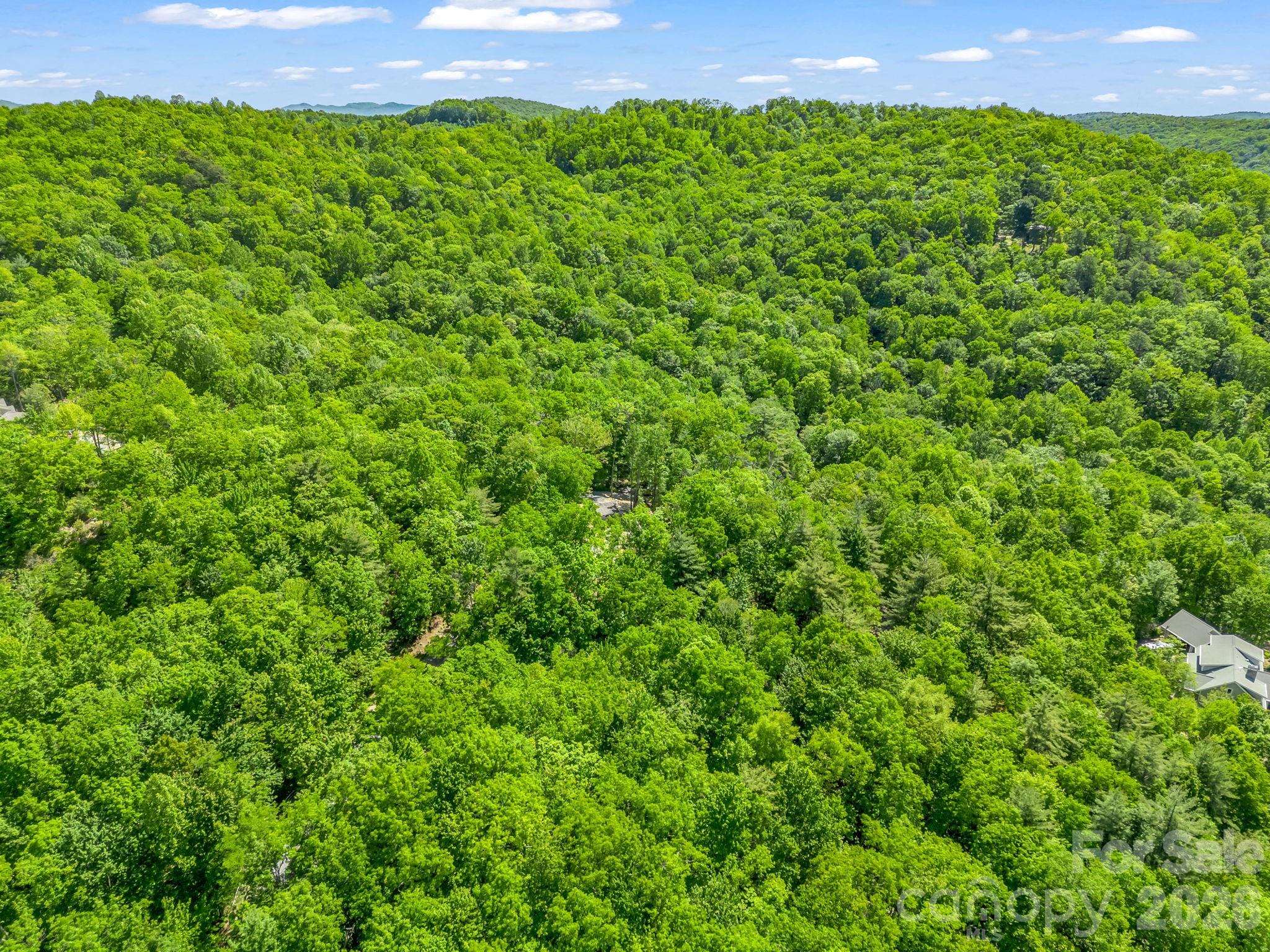 352 Big Hill Road Brevard, NC 28712 - Photo 16 of 31
