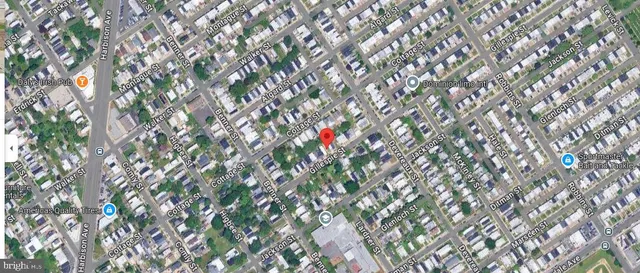 a close up of a tree