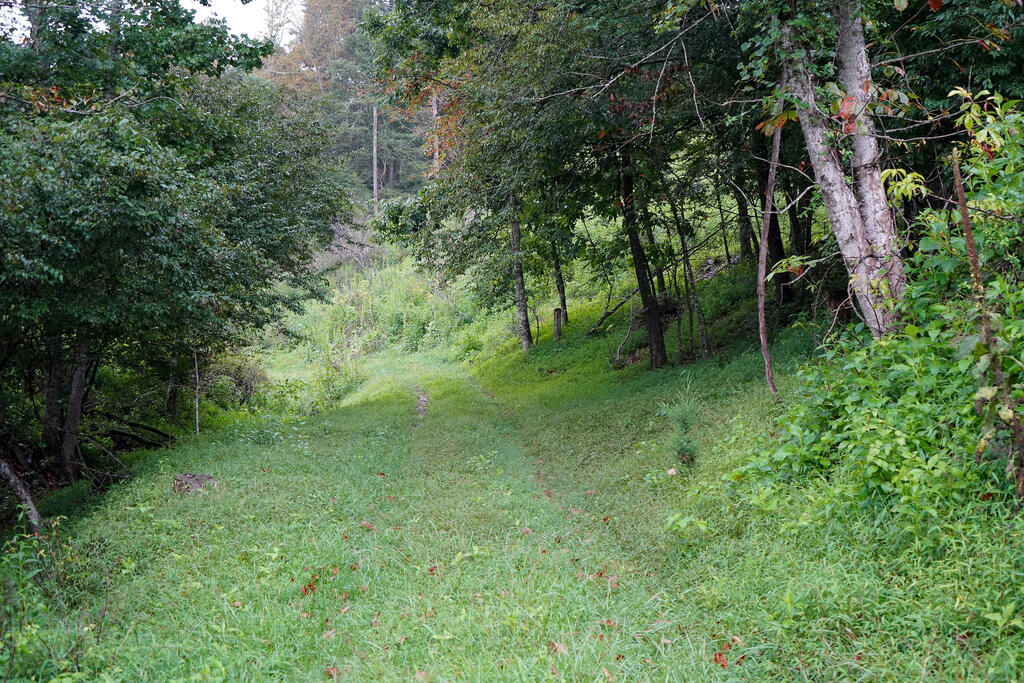 78-acres Foster Falls Road, Unit 78 ACRES Max Meadows, VA 24360 - Photo 15 of 46 Gallery Image 15