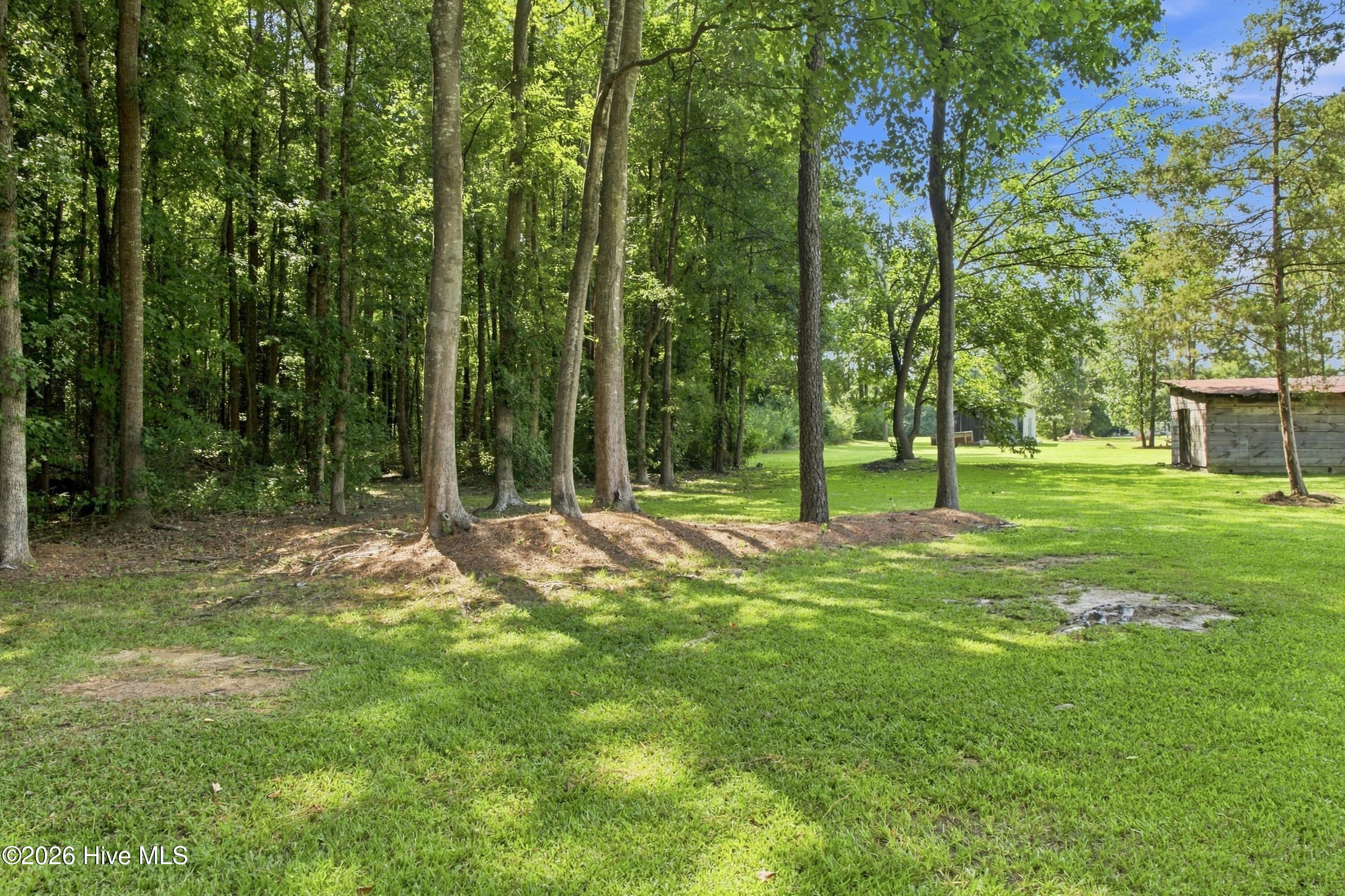 107 Ray Farmer Road Aulander, NC 27805 - Photo 33 of 53 Gallery Image 33