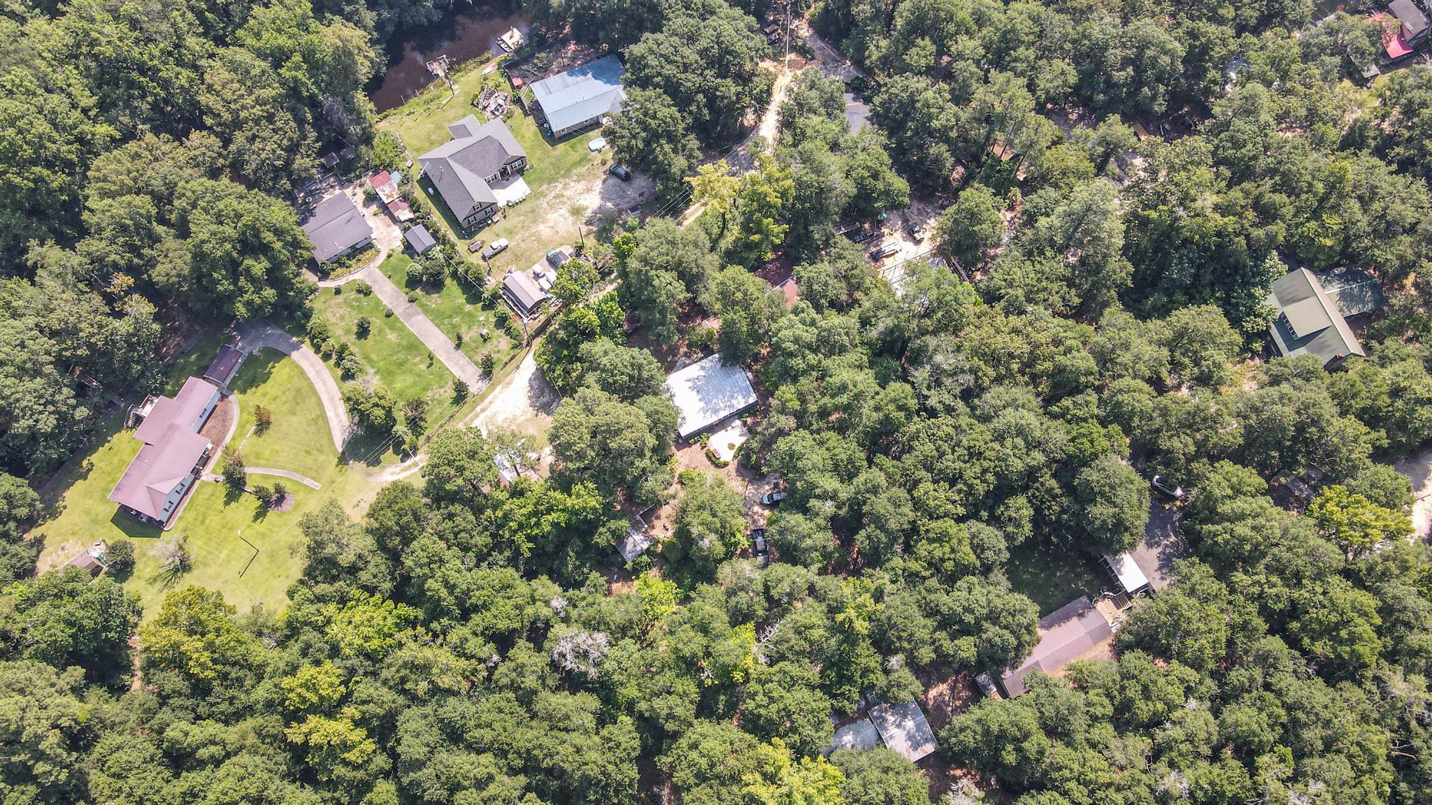 951 Shipes Bluff Road Blackville, SC 29817 - Photo 4 of 29
