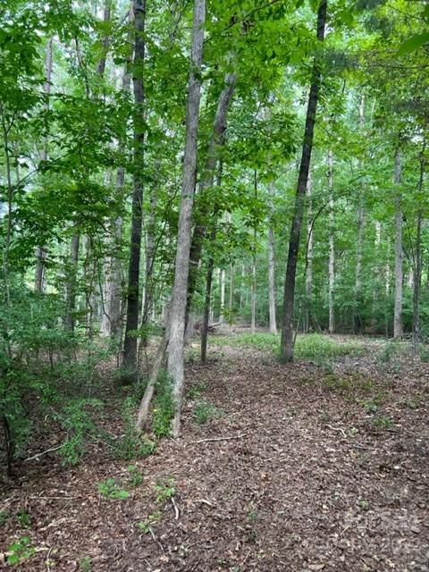 8.84-ac Oakridge Road Clover, SC 29710 - Photo 2 of 6 Gallery Image 2
