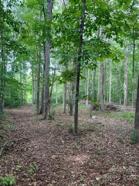 8.84-ac Oakridge Road Clover, SC 29710 - Photo 3 of 6 Gallery Image 3