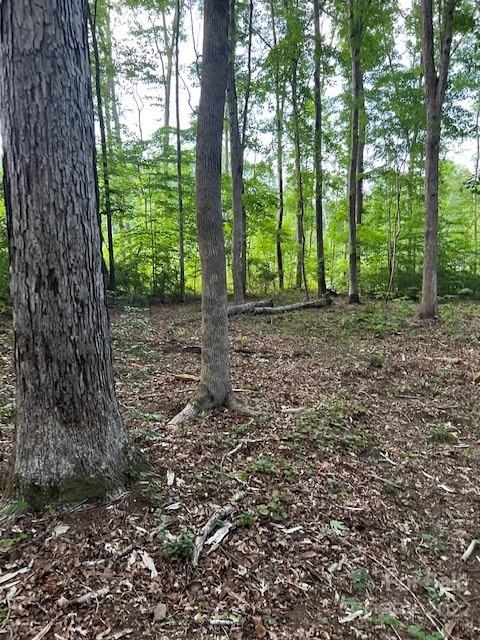 8.84-ac Oakridge Road Clover, SC 29710 - Photo 4 of 6 Gallery Image 4