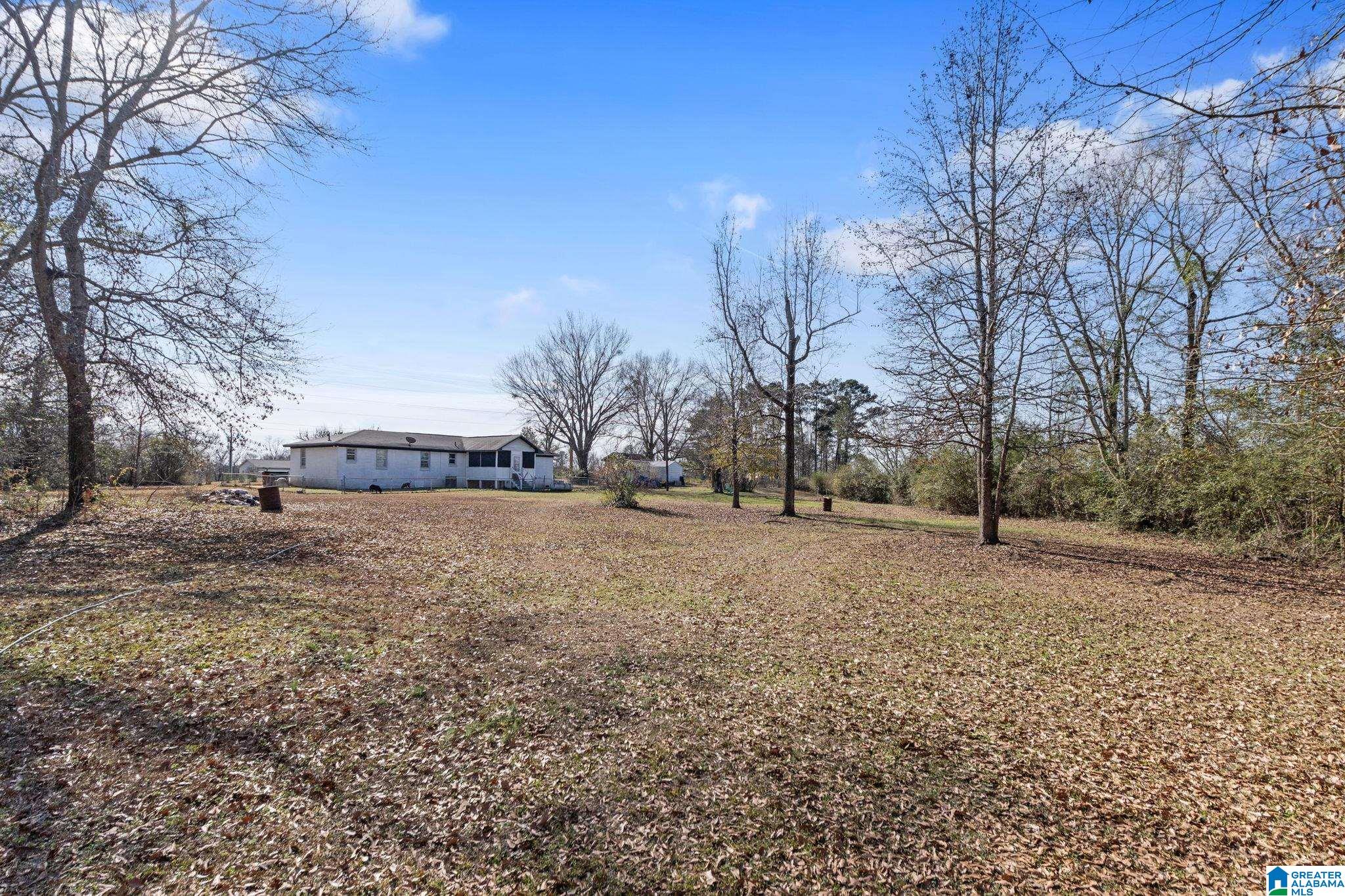 6609 County Road 24 Verbena, AL 36091 - Photo 39 of 43