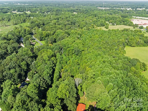 a view of a big yard with plants and large trees