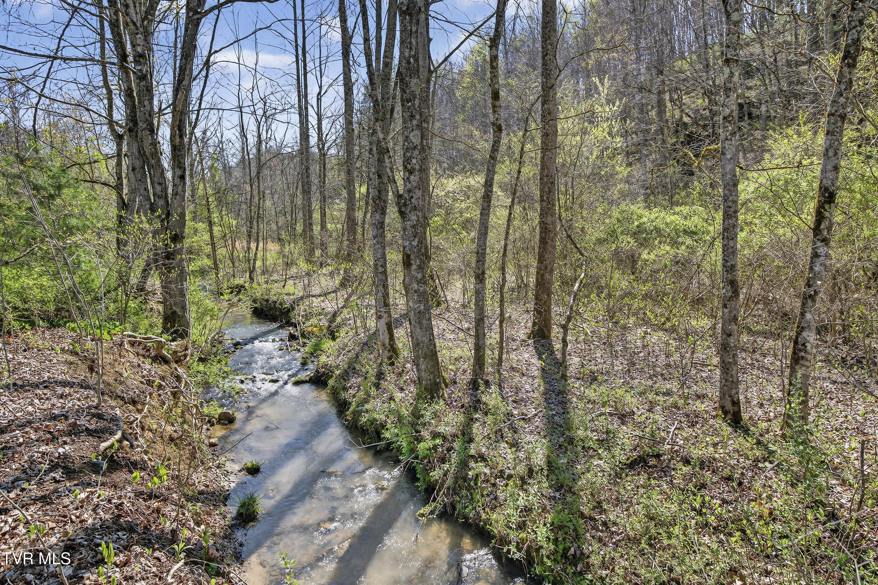 2484 Denton Valley Road Bristol, TN 37620 - Photo 6 of 10 2484-Denton-Valley-Rd-Bristol-TN Matt-Sm